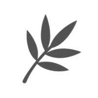 Fallback text for a file